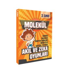 2. Sınıf Akıl ve Zeka Oyunları
